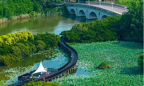 广州南沙湿地公园_广州南沙湿地公园景点介