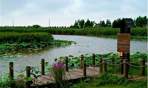 崇明东滩湿地公园门票_崇明东滩湿地公园门