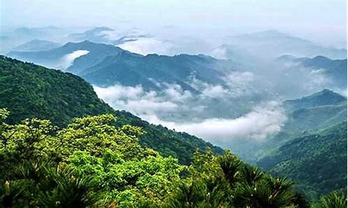 西天目山_西天目山景区介绍