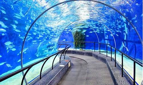 上海海洋水族馆_上海海洋水族馆门票多少钱