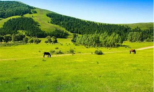 承德木兰围场天气_承德木兰围场天气预报