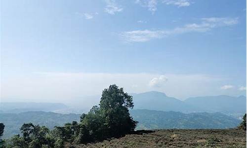 雅安蒙顶山_雅安蒙顶山景区